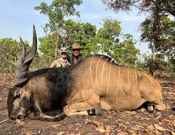 Plains Game hunting in Busanga Plains